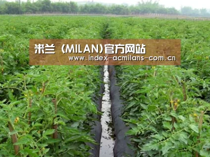 种植基地三